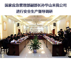 國家應(yīng)急管理部副部長孫華山來我公司進行安全生產(chǎn)督導(dǎo)調(diào)研